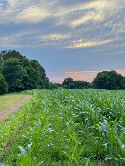 Residential Property in McCracken County, Kentucky