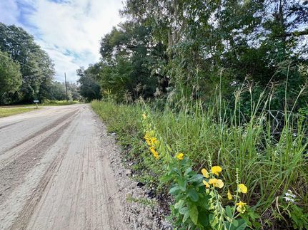 Undeveloped Land for sale in Gilchrist County, Florida