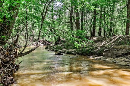 Recreational Property in Marion County, Georgia
