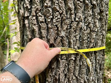 Property for sale in Wilcox County, Alabama