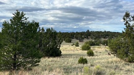Recreational Property for sale in Catron County, New Mexico