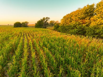 Ranch Property for sale in Graham County, Kansas