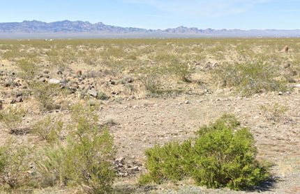 Undeveloped Land for sale in Mohave County, Arizona