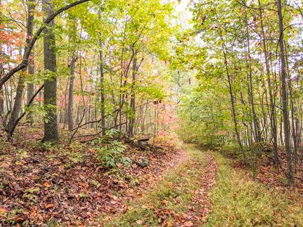 Timberland Property for sale in Monroe County, West Virginia