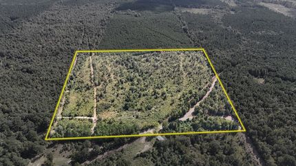 Property for sale in Bienville Parish, Louisiana