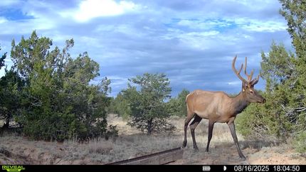 Farm Property for sale in Cibola County, New Mexico