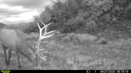 Ranch Property for sale in Rio Arriba County, New Mexico