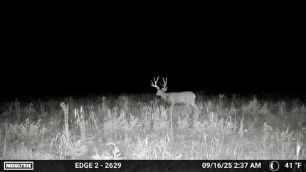 Residential Property for sale in Rio Arriba County, New Mexico