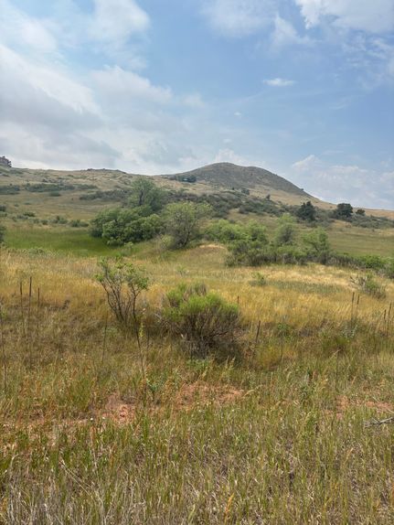 Undeveloped Land for sale in Larimer County, Colorado