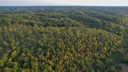Undeveloped Land for sale in Stone County, Missouri