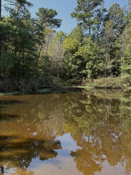 Property for sale in Choctaw County, Mississippi