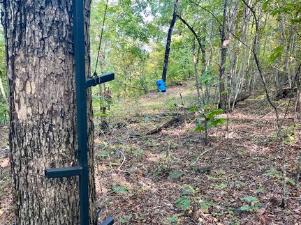 Undeveloped Land for sale in Van Buren County, Arkansas