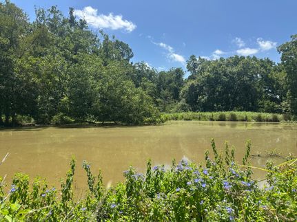 Ranch Property for sale in Leon County, Texas