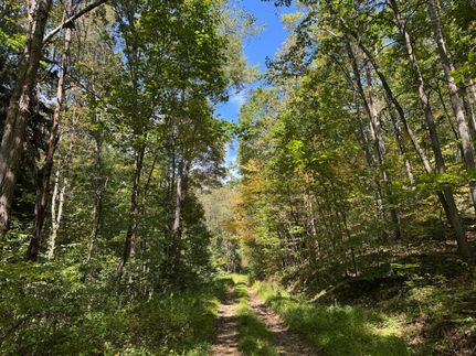 Hunting Land for sale in Indiana County, Pennsylvania