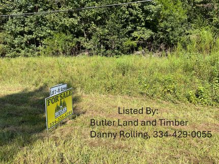 Recreational Property for sale in Crenshaw County, Alabama
