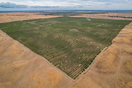 Property for sale in Yolo County, California