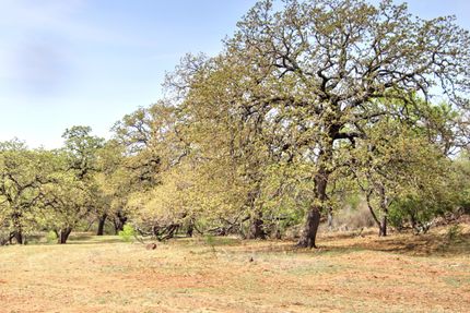 Farm Property for sale in Burnet County, Texas