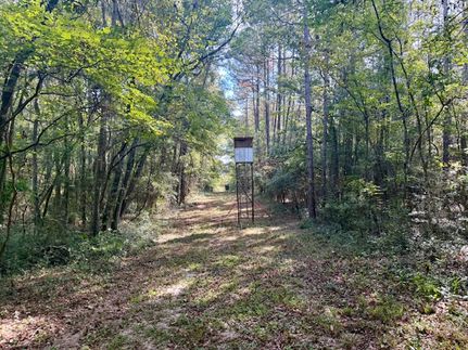Timberland Property for sale in Walthall County, Mississippi