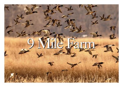 Recreational Property for sale in Lawrence County, Arkansas