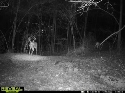 Residential Property in Estill County, Kentucky