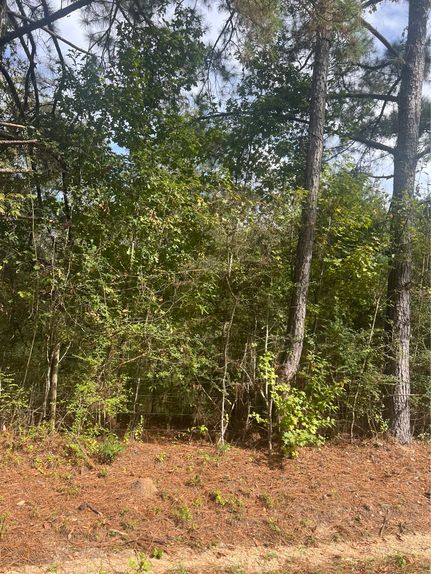 Hunting Land for sale in Wayne County, Mississippi