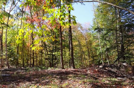 Undeveloped Land for sale in Warren County, New York
