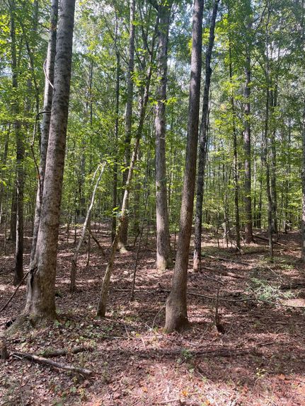 Timberland Property for sale in Spalding County, Georgia