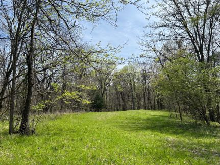 Timberland Property for sale in Panola County, Mississippi