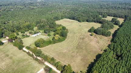 Timberland Property for sale in Bowie County, Texas