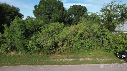 Farm Property for sale in Saint Lucie County, Florida