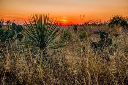 Ranch Property for sale in Dimmit County, Texas