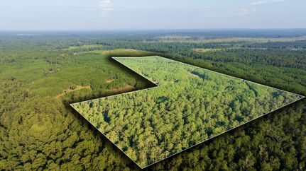 Property for sale in Jasper County, Texas