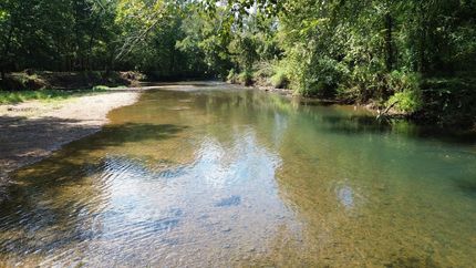 Property for sale in Lauderdale County, Alabama