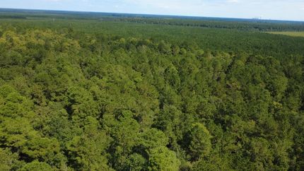 Ranch Property for sale in Georgetown County, South Carolina