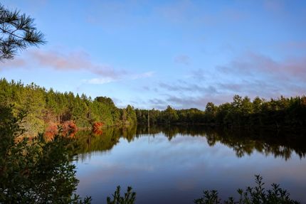 Timberland Property for sale in Sumter County, Georgia