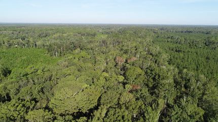 Timberland Property for sale in Madison County, Florida