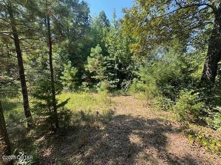 Undeveloped Land for sale in Carroll County, Tennessee