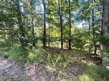 Property for sale in Henderson County, Tennessee