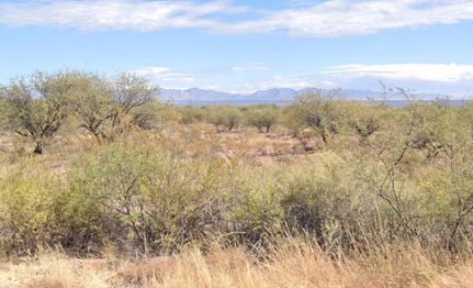 Property for sale in Cochise County, Arizona
