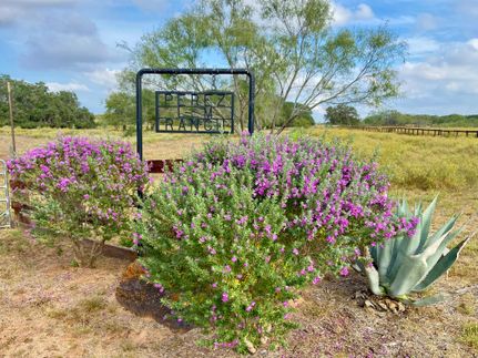 Recreational Property for sale in Wilson County, Texas