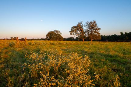 Farm Property for sale in Smith County, Texas