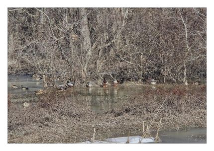 Commercial Property for sale in Saint Francis County, Arkansas