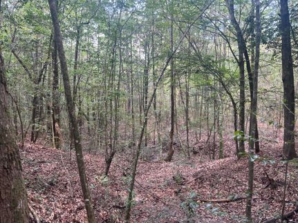 Recreational Property for sale in Perry County, Mississippi