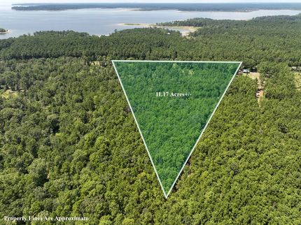 Timberland Property for sale in San Augustine County, Texas