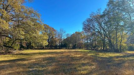 Hunting Land for sale in Wilkes County, Georgia