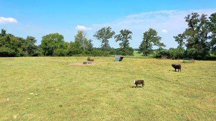 Property for sale in Freestone County, Texas