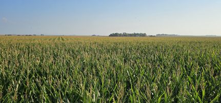 Property for sale in Phelps County, Nebraska