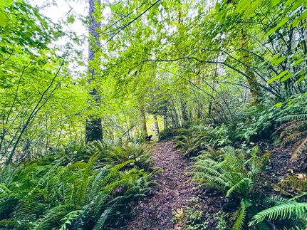 Farm Property for sale in Lane County, Oregon