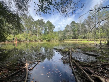 Hunting Land for sale in Coffee County, Alabama
