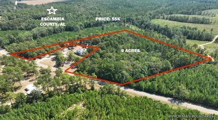 Undeveloped Land for sale in Escambia County, Alabama